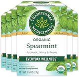 Spearmint Tea