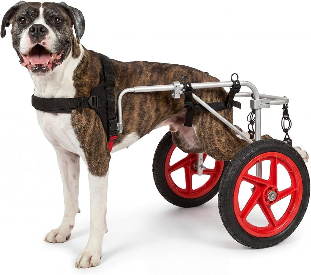 Large Back Leg Dog Wheelchair - 2.0 Design with Enhanced Stability