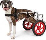 Best Budget: Best Friend Mobility Large 2.0 Design