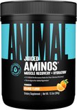 Best for Muscle Building