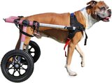 Best Overall: Walkin' Wheels Dog Wheelchair Med/Large 50-69 lbs