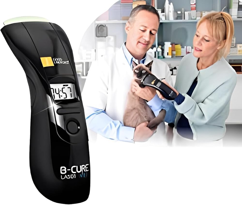 BCure Laser Vet