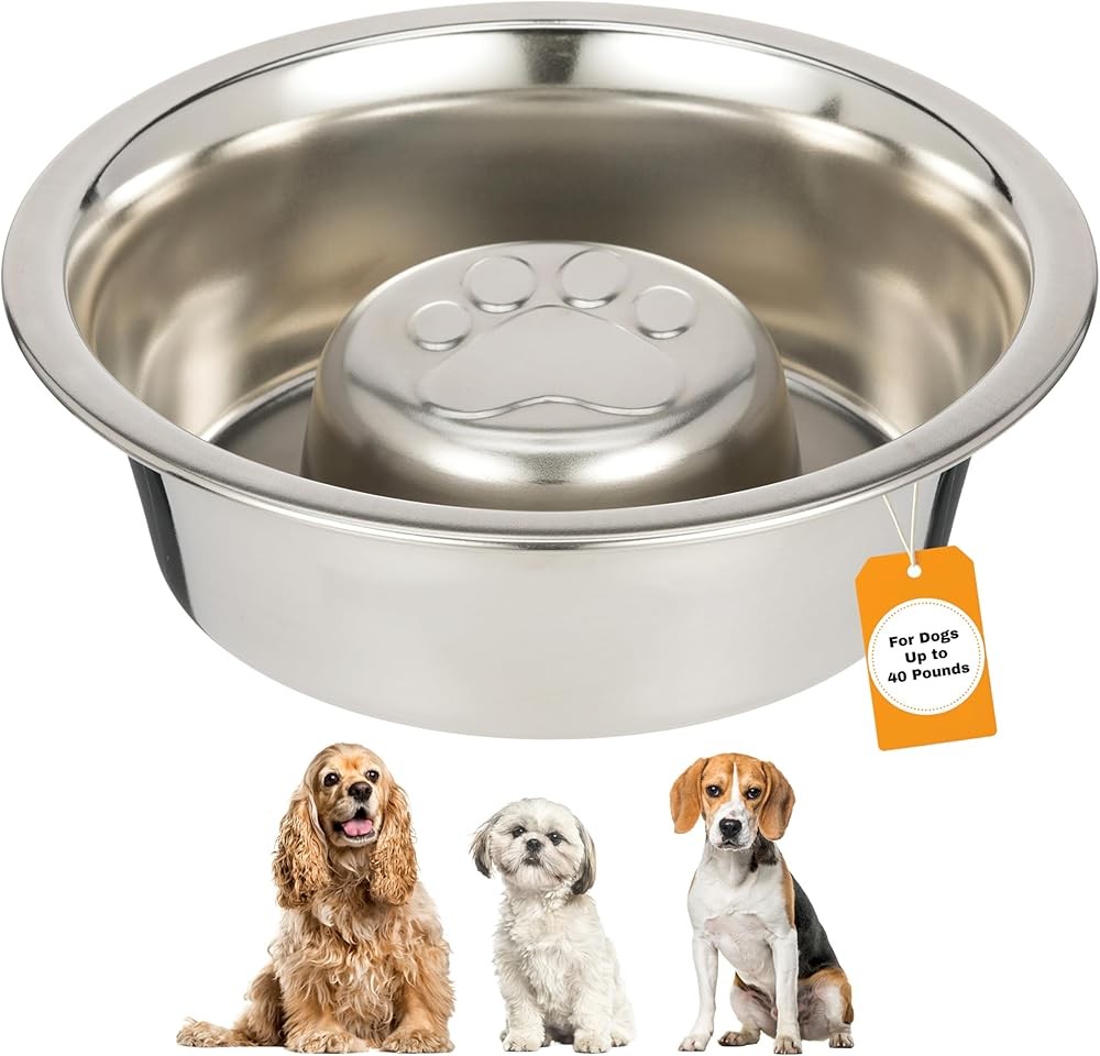 Neater Pet Brands Stainless Steel Slow Feed Bowl - Non-Tip & Non-Skid - Stops 