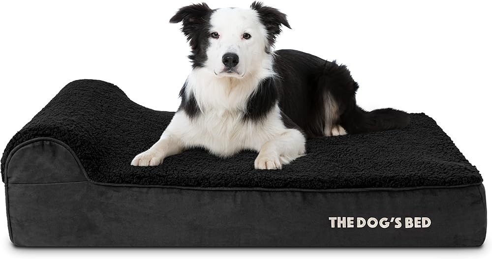 Orthopedic Dog Bed Medium Dogs