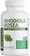 Bronson Rhodiola Rosea