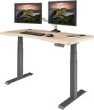 Vari Ergo Electric Standing Desk