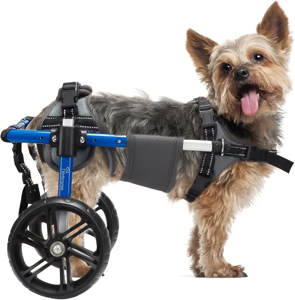 Dog Wheelchair for Back Legs with Upgraded All-Terrain Tires & Durable Bearings,Adjustable Dog Wheelchair for 9-13.7,11-22 lbs Disabled or Injured Small Dogs