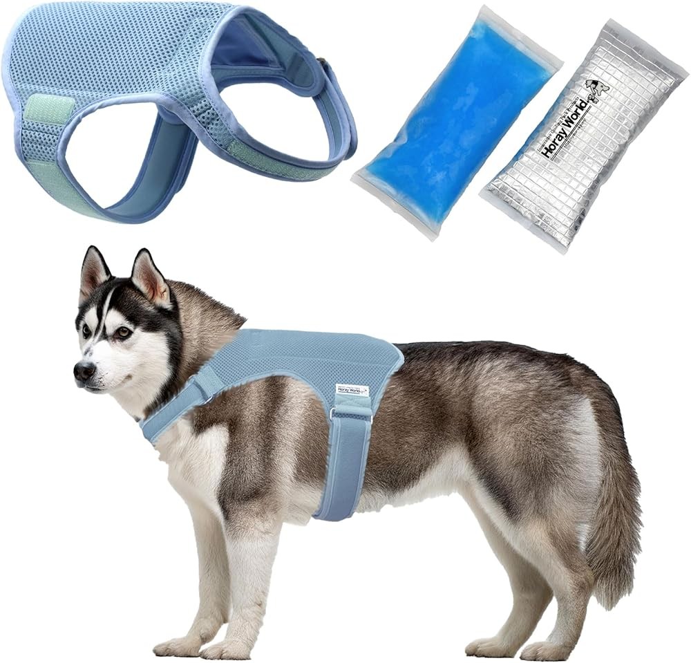 Innovative Dog Cooling Vest