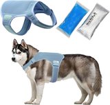Innovative Dog Cooling Vest