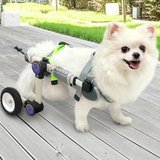 Best for Small Dogs: Adjustable Dog Wheelchair Small