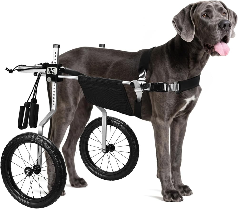 All-Terrain Dog Wheelchair for Back Legs - Lightweight & Adjustable for Medium to Large Dogs - Easy to Assemble Mobility Aid