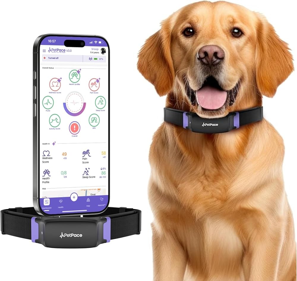 Best GPS Dog Health Collars and Activity Trackers