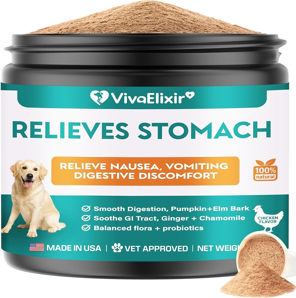 Dog Upset Stomach Relief with Probiotics