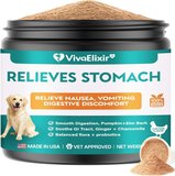 Dog Upset Stomach Relief with Probiotics